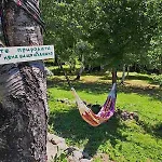 брезите * Пампорово